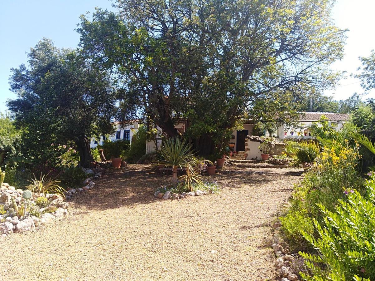Bed and Breakfast Quinta Dos Valados Querenca Экстерьер фото